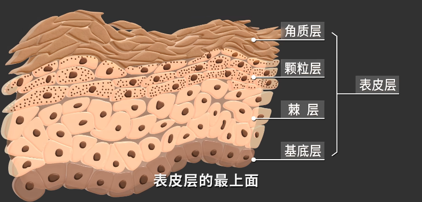 image-20250512122908593